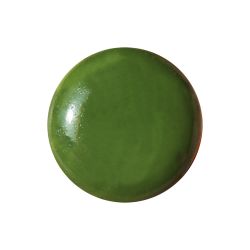 2011 VERT OLIVE